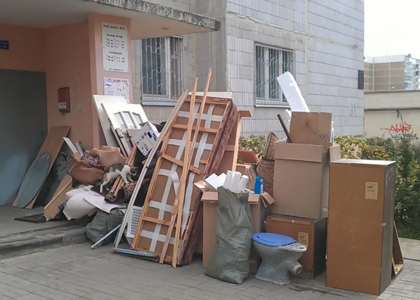 Профессиональный вывоз мусора из квартиры в Ставрополе в октябре